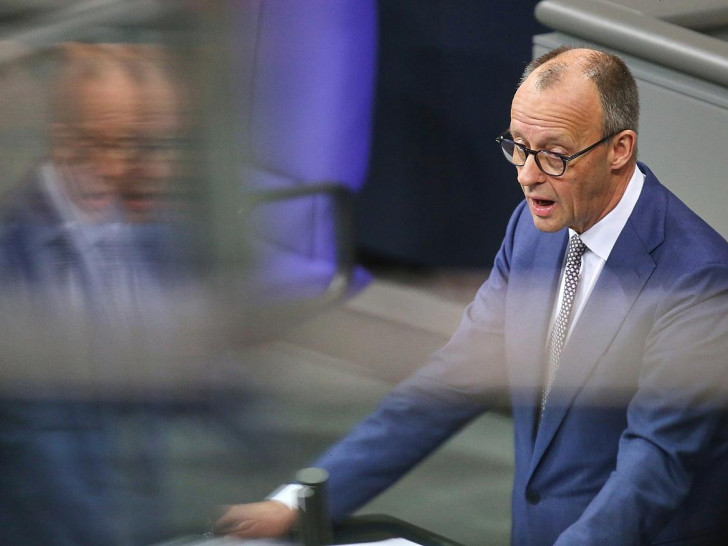 Friedrich Merz am 29.01.2026