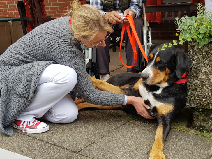 Ehrenamtliche der Wolfsburger Besuchshundestaffel sollen kranken und einsamen Menschen ein Lächeln ins Gesicht zaubern.