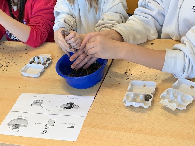 Schüler haben Samenkugeln hergestellt, die man aus Automaten ziehen kann.