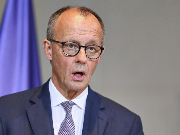 Friedrich Merz (Archiv)