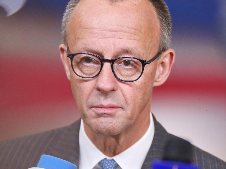 Friedrich Merz (Archiv)