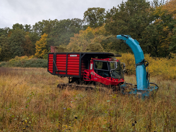 Im Landschaftsschutzgebiet „Lappwald“ beginnen Pflege- und Instandsetzungsarbeiten, die bis 2028 fortgeführt werden.