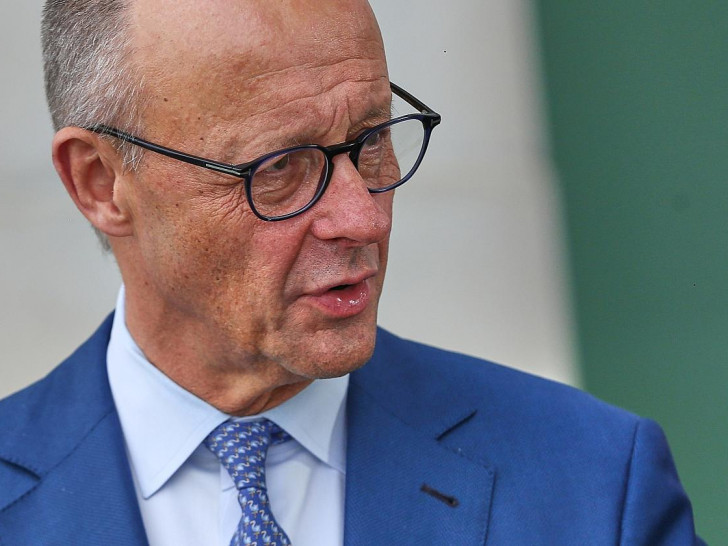 Friedrich Merz (Archiv)