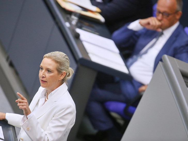 Alice Weidel und Friedrich Merz (Archiv)