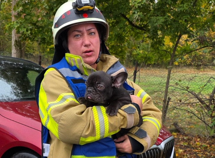 Die Feuerwehr rettete einen Hund aus dem Haus in Leiferde.