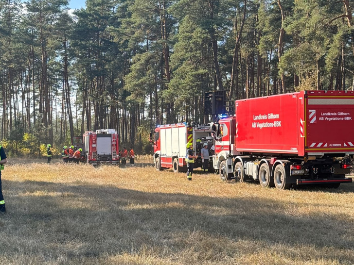 Rund 4.000 Quadratmeter Wald waren betroffen.