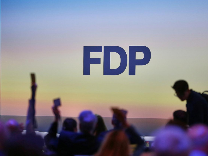 Abstimmung auf FDP-Parteitag (Archiv)