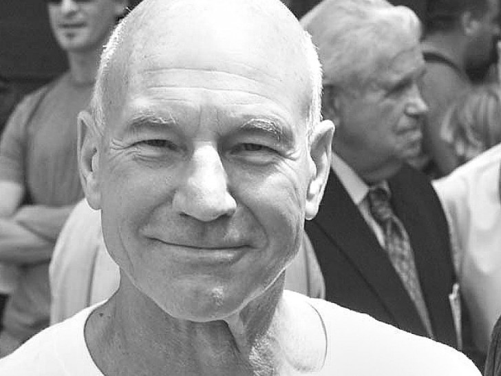 Patrick Stewart im Jahr 2004 (Archiv)