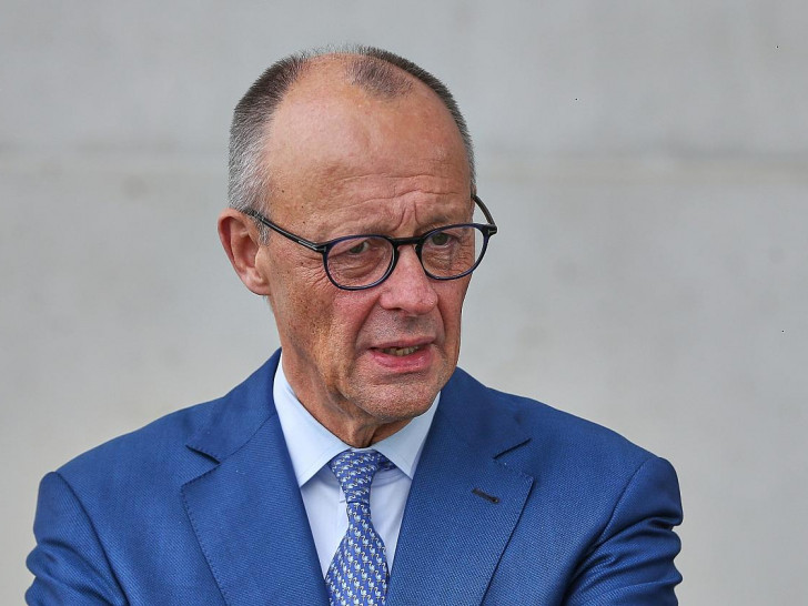 Friedrich Merz (Archiv)