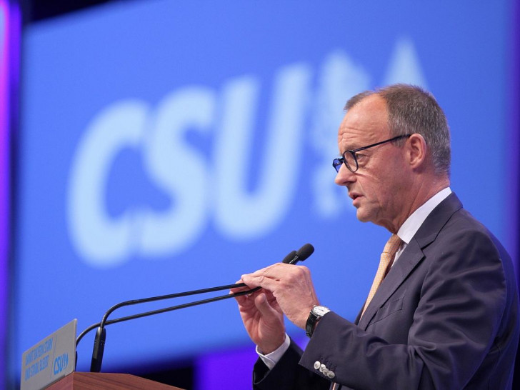 Friedrich Merz (Archiv)