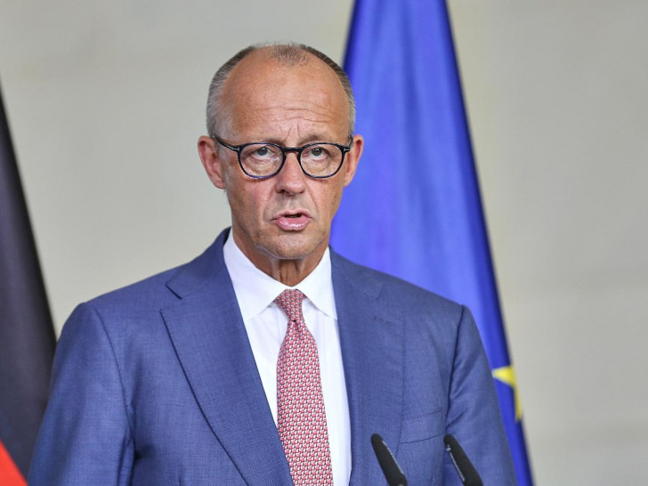 Friedrich Merz (Archiv)