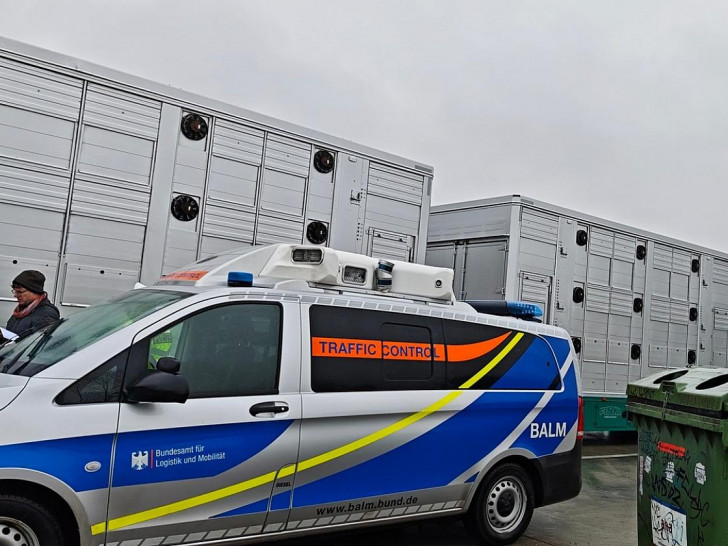 Polizei überprüft Tiertransporte auf der Autobahn  (Archiv)