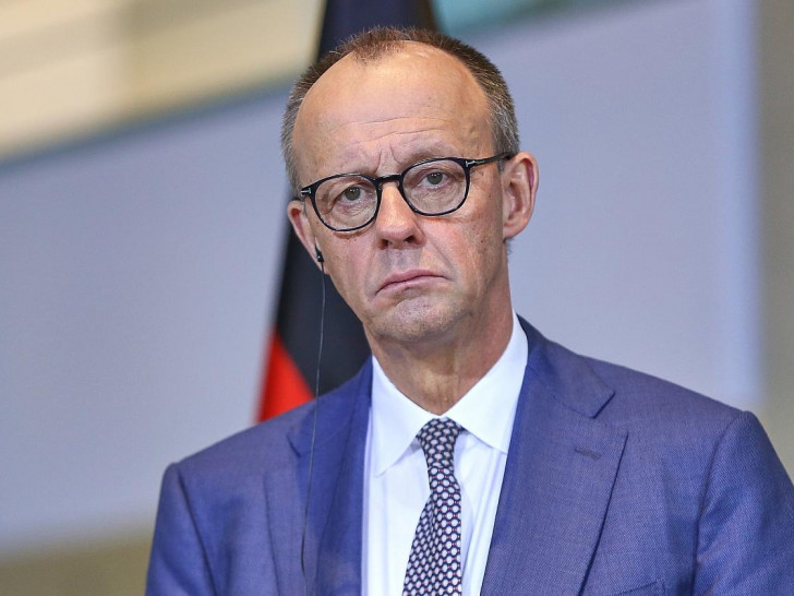 Friedrich Merz am 29.01.2026