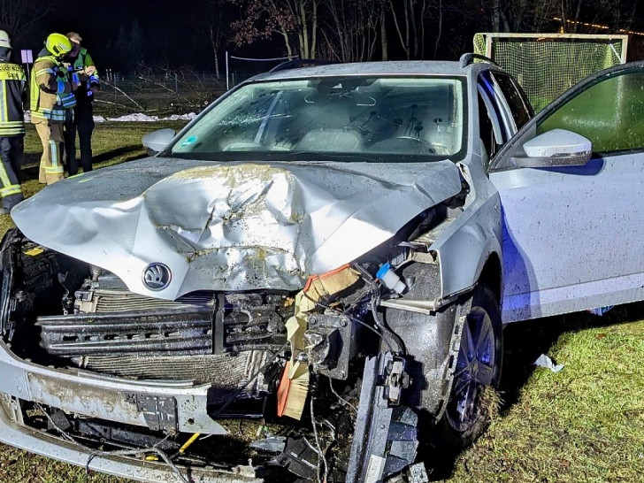 PKW kollidiert mit Baum und bringt diesen zu Fall  (Archiv)