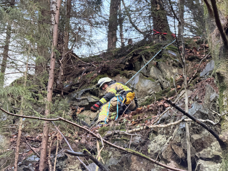 Der verängstigte Hund konnte sich nicht selbst aus seiner misslichen Lage befreien.