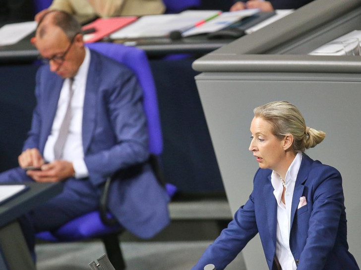 Friedrich Merz und Alice Weidel am 29.01.2026