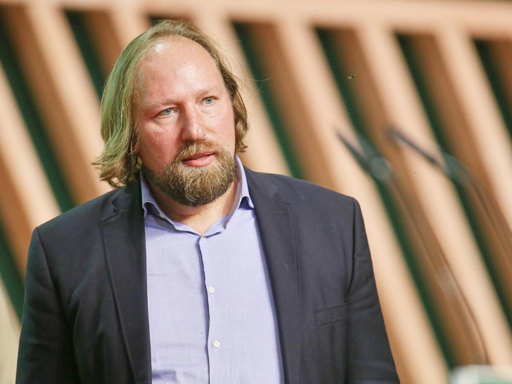 Anton Hofreiter (Archiv)