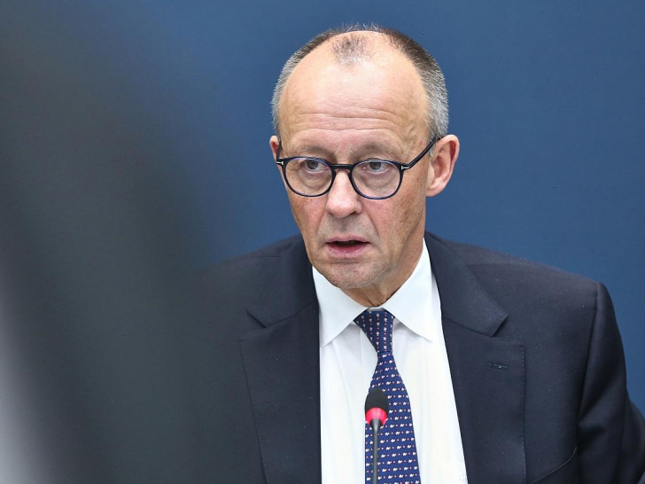 Friedrich Merz (Archiv)