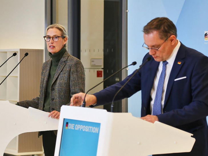 Alice Weidel und Tino Chrupalla (Archiv)