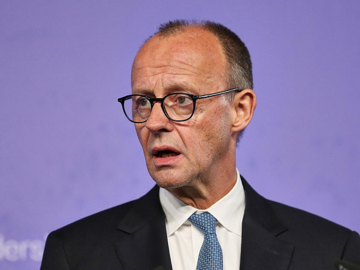 Friedrich Merz (Archiv)