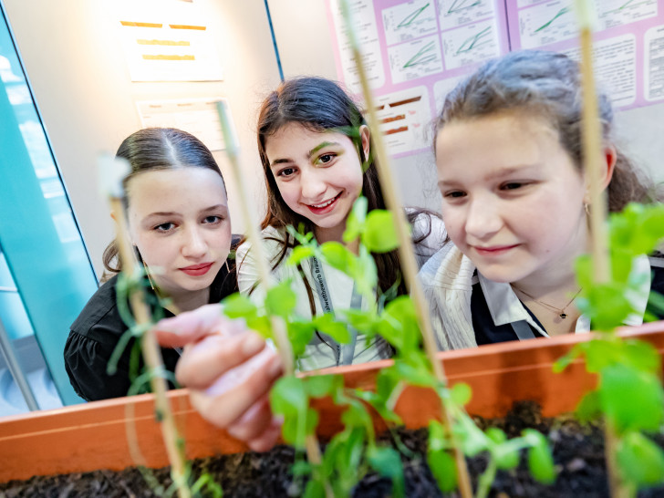 Die zahlreichen Projekte der Jungforscher haben sowohl die Jury als auch die Besucher zum Staunen gebracht. 