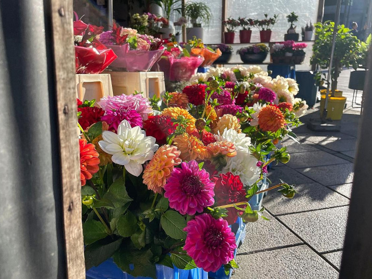 Blumen in einem Blumenladen (Archiv)