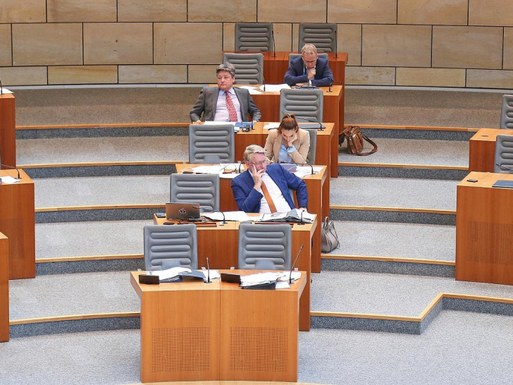 AfD-Fraktion im Landtag Nordrhein-Westfalen (Archiv)