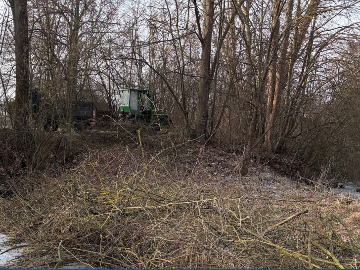 Rund um den See wurden Arbeiten durchgeführt.