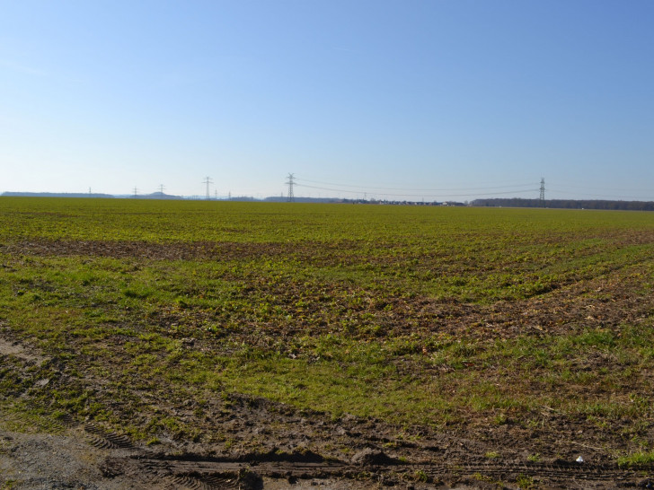 Die Gemeinde Vechelde lädt alle interessierten Bürgerinnen und Bürger zur öffentlichen Vorstellung des aktuellen Planungsentwurfes für das Gebiet „Vechelde-West“ ein.
