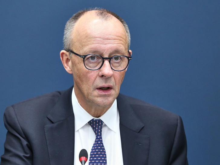 Friedrich Merz (Archiv)