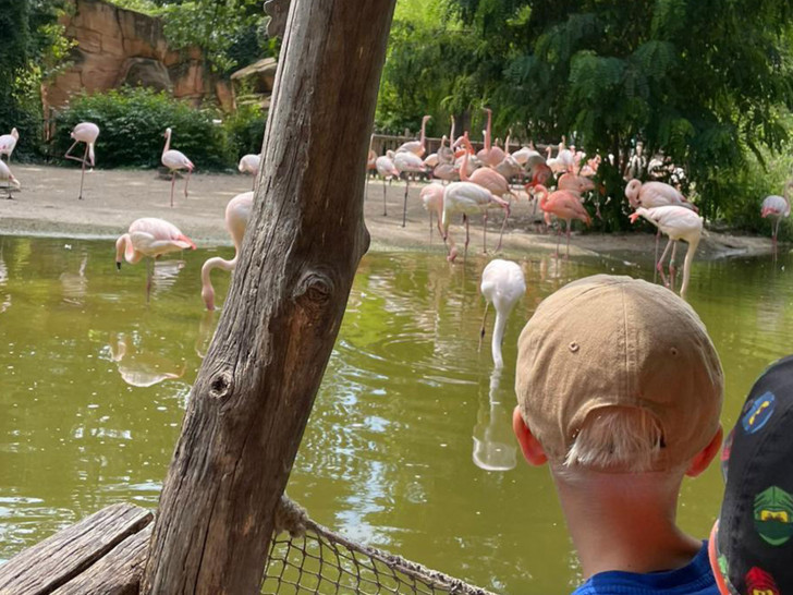 In Wolfenbüttel gibt es viele Osterferienangebote für Kinder und Jugendliche.