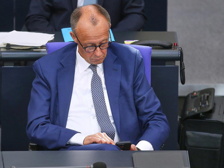 Friedrich Merz (Archiv)