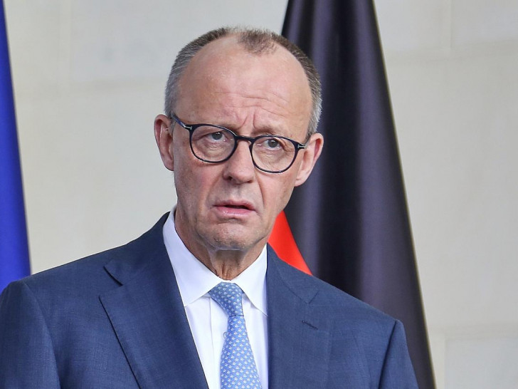 Friedrich Merz am 11.02.2026