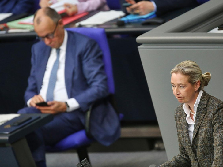 Friedrich Merz und Alice Weidel (Archiv)