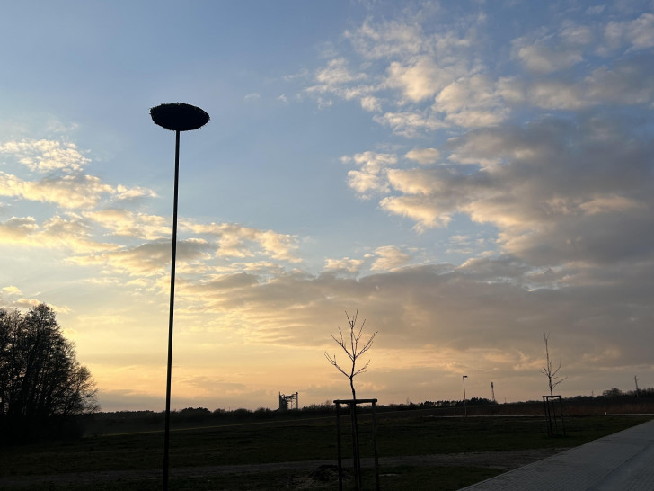 In Osloß steht nun ein weiteres Storchennest.