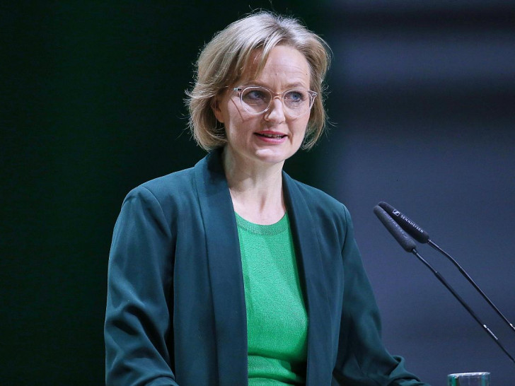 Franziska Brantner (Archiv)