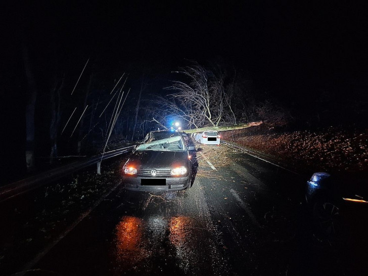 Herabstürzender Baum (Archiv)