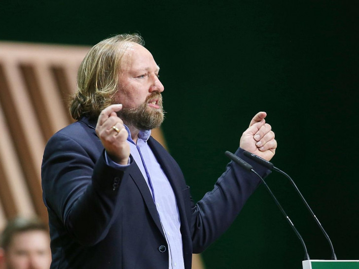 Anton Hofreiter (Archiv)