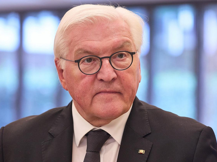 Frank Walter Steinmeier (Archiv)