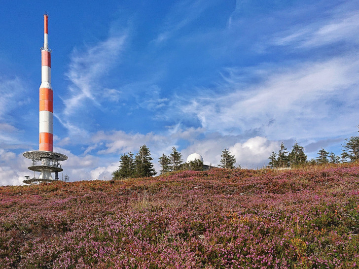 Der Brocken mit seinem einzigartigen Klima ist wichtiger Lebensraum besonders geschützter Arten.