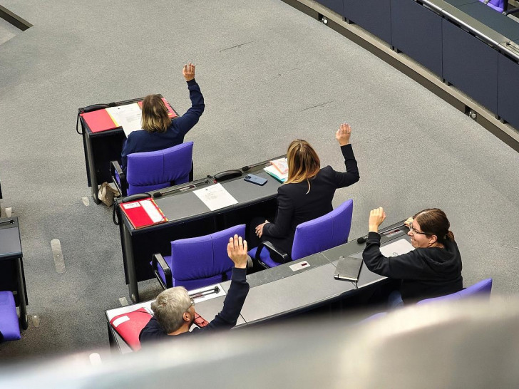 Abstimmung in der Linksfraktion (Archiv)