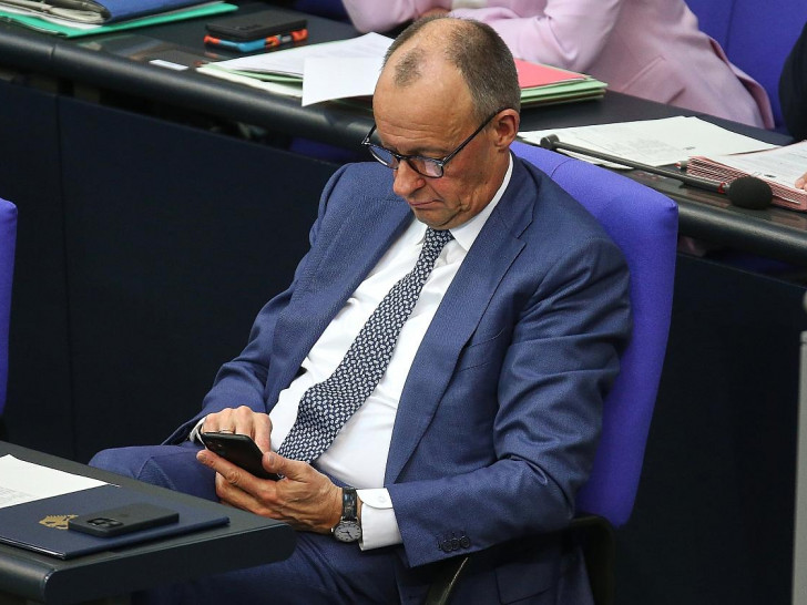 Friedrich Merz (Archiv)