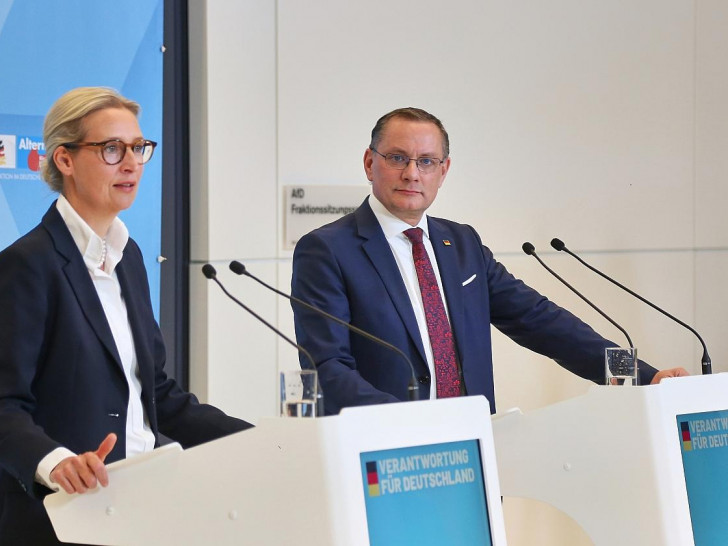 Alice Weidel und Tino Chrupalla (Archiv)