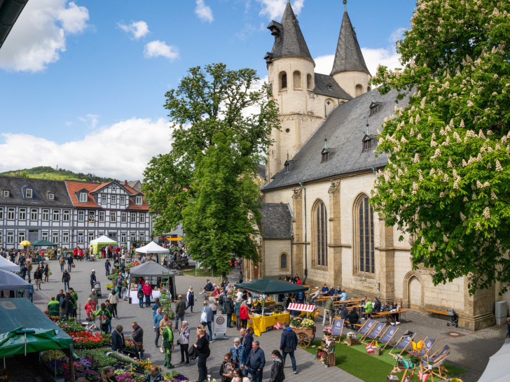 Bereits zum sechsten Mal findet der Goslarer Gartenmarkt statt.