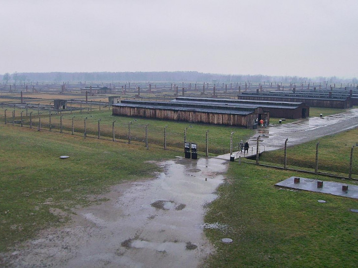 Konzentrationslager Auschwitz (Archiv)