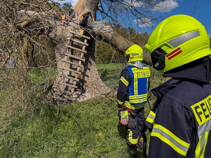 Zwei Einsätze binnen sechs Stunden in Wienhausen  (Archiv)