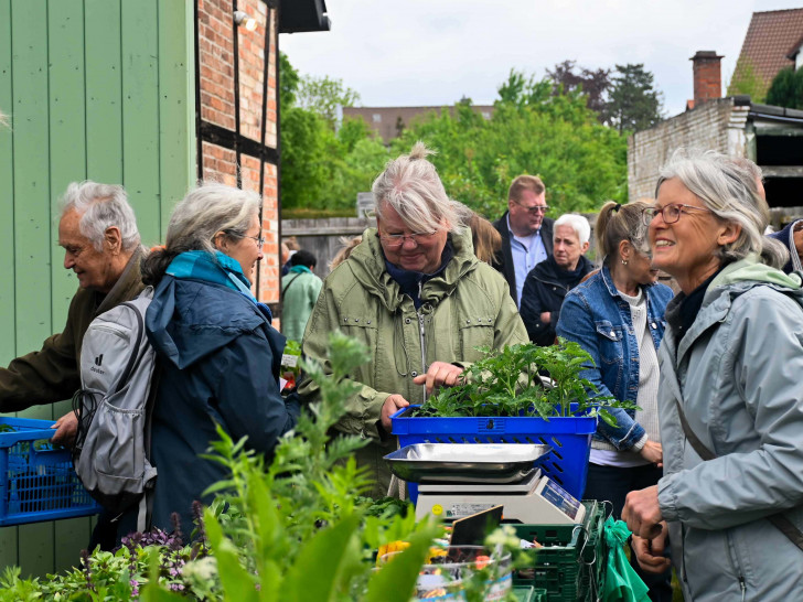 Beate Pieper (r.) berät auch in diesem Jahr rund um die Tomatenpflanzen.