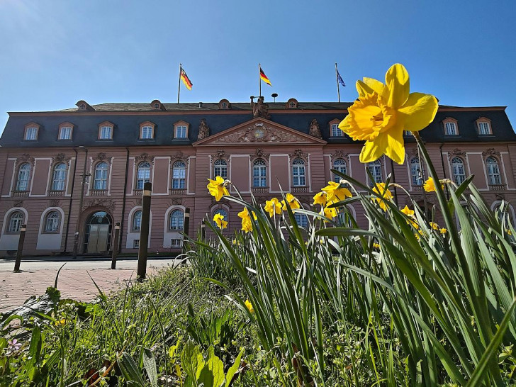 Landtag von Rheinland-Pfalz (Archiv)