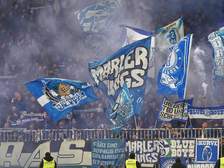 Fans von Schalke 04 (Archiv)