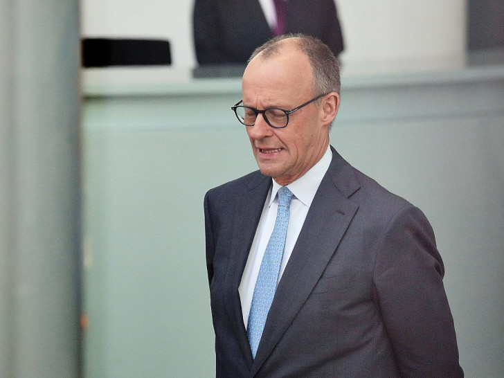 Friedrich Merz (Archiv)